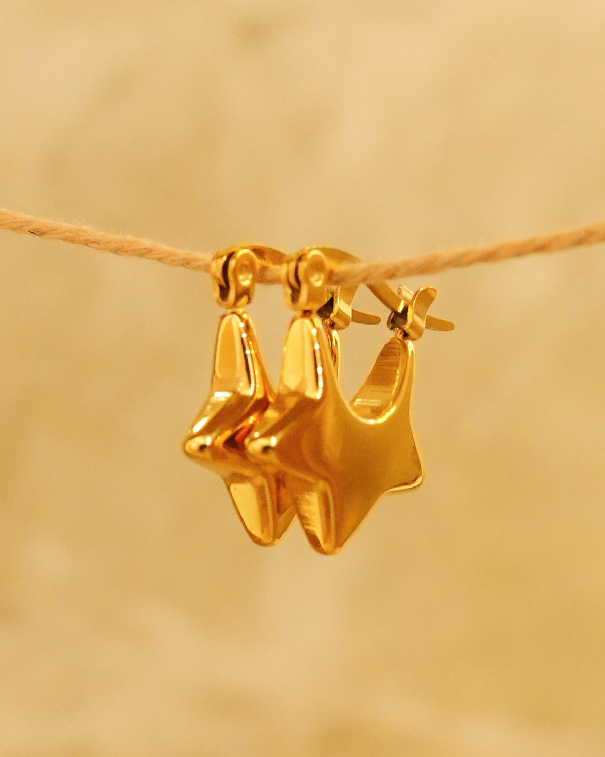 STARY NIGHT EARRINGS
